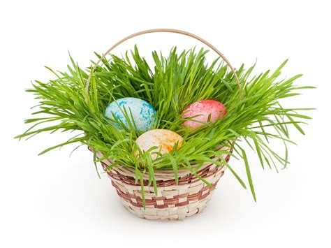 Natural Easter Grass Ideas How To Grow Your Own Easter Grass