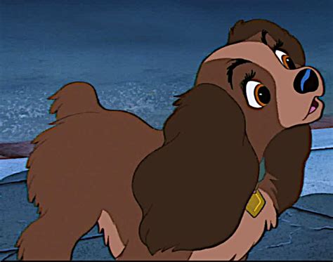 Lady Disneys Lady And The Tramp Photo 41113743 Fanpop