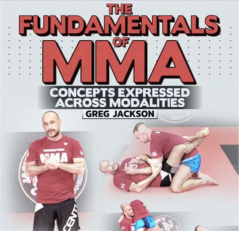 The Fundamentals Of MMA Greg Jackson NLP Lib