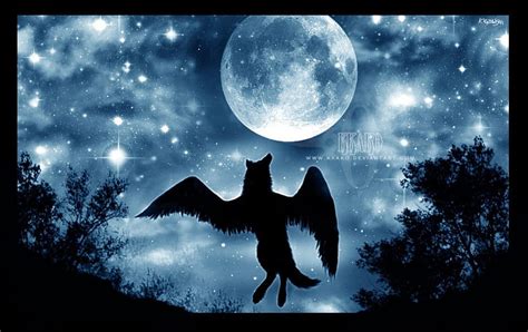 Winged Wolf Fantasy Moon Nature Wolf Winged Sky Animals Hd