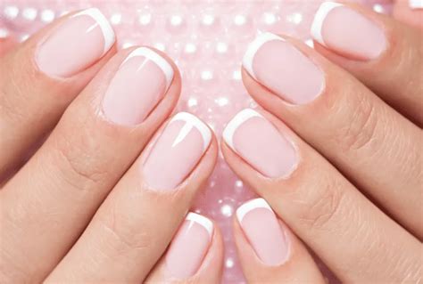 Nude French Nails Online Collection Save 53 Jlcatjgobmx