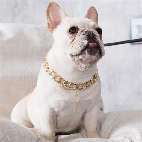 💡 how to buy french bulldog collar? Pet Choke Chain Gold Silver Collar Necklace For Small Dog ...