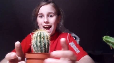 Jak Se Starám O Kaktusi 🌵🌵 Youtube
