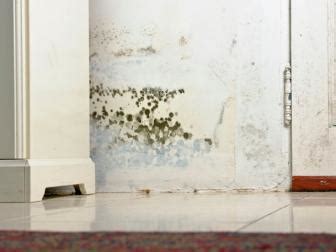 Black Mold Symptoms and Health Effects | HGTV