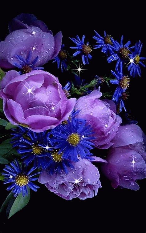 Feeling Blessed Flowers  Beautiful  Purple Flowers