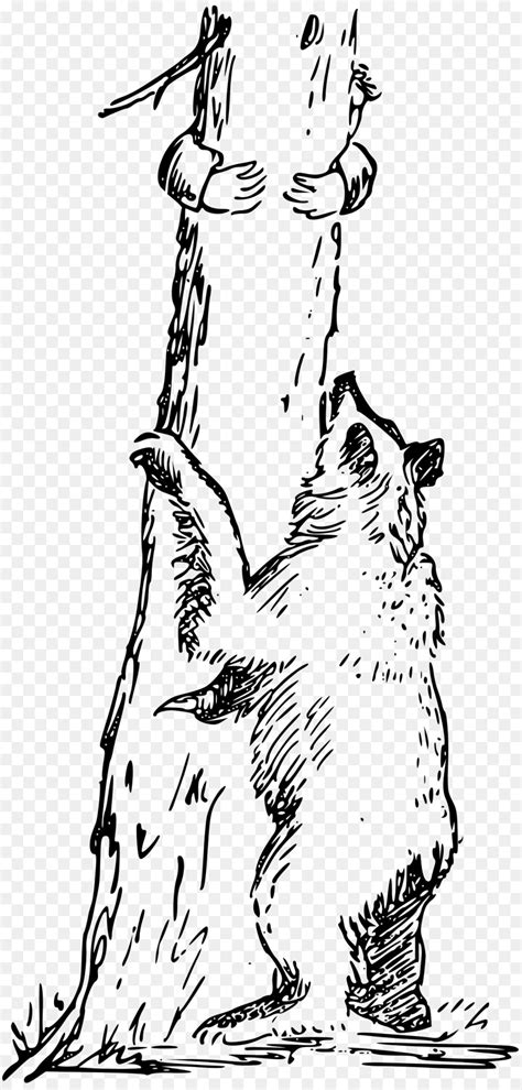 library  bear   tree clip freeuse png files clipart art