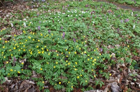 More images for garten neu gestalten tipps » 2015-04 Alten Garten neu gestalten - BUND Naturschutz in ...