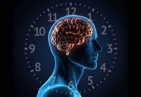How does our diet affect circadian rhythms? -- Health & Wellness