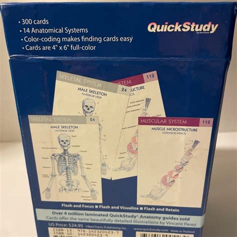 Quick Study Other Quick Study Anatomy Flash Cards 30 4 Systems Nib