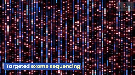 Targeted Exome Sequencing Youtube