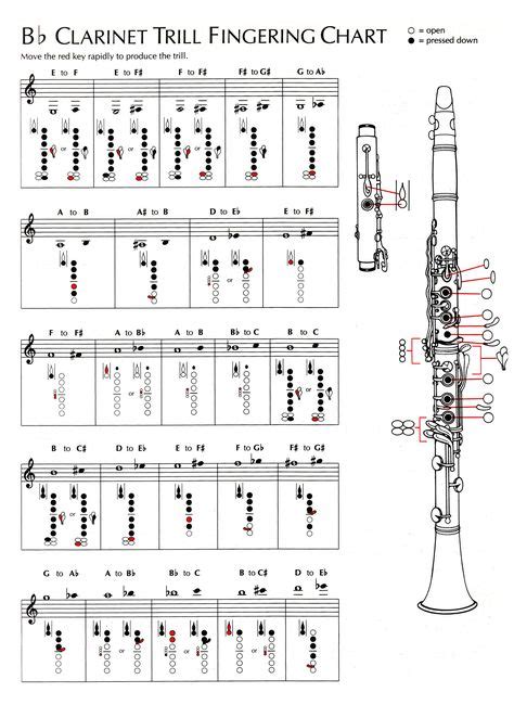 17 Clarinet Tips Ideas Clarinet Clarinet Music Band Geek