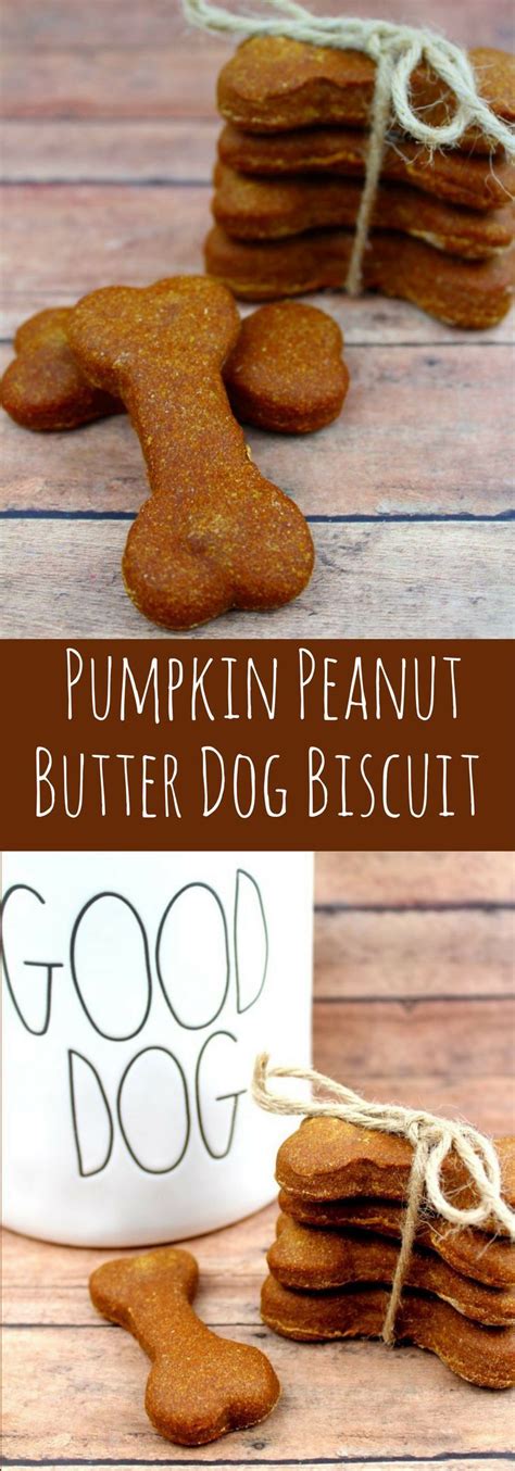Homemade Pumpkin Peanut Butter Dog Biscuit Recipe Easy Homemade Dog