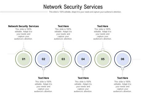 Network Security Services Ppt Powerpoint Presentation Professional