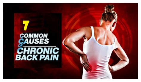 7 Common Causes Of Chronic Back Pain