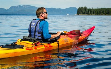 Kayaking With Orcas 2021 Tours In Johnstone Strait Vancouver Island