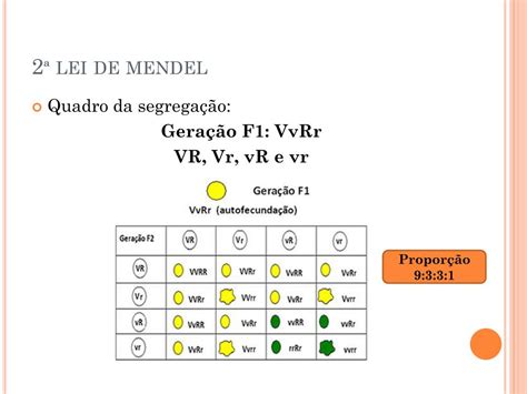 Em Experimentos Envolvendo Três Características Independentes