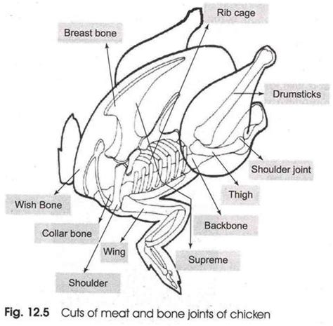 Use one hand to grab the exposed bones, then slice around the big joint to release the whole bone from meat. Poultry: Meaning, Types and Cuts