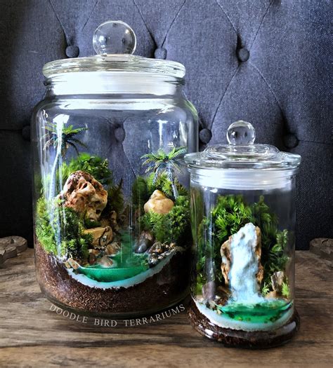 This Small Sized Terrarium Features A Tropical Waterfall Scene With A