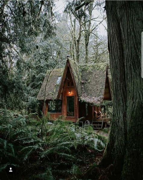 Cozy Cabin Imgur With Images Forest Cottage Cottage In The Woods