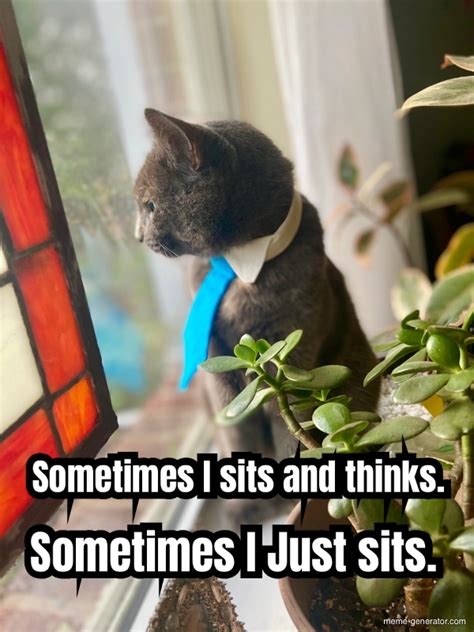 Sometimes I Sits And Thinks Sometimes I Just Sits Meme Generator