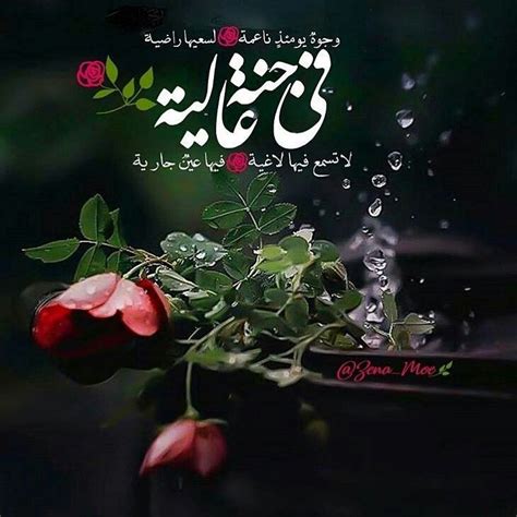 استكشف و اشتري الالكترونيات, الكمبيوترات, الملابس, الاكسسوارات, الاحذية ,الساعات , الاثاث, مستلزمات المنزل و المطبخ, منتجات الجمال , و العناية الشخصية , البقالة و الكثير. ورد خلفيات ورود ناعمة