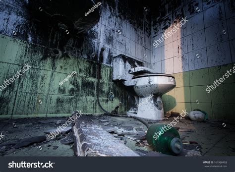 Dirty Toilet Toilet Burn Stock Photo 161968493 Shutterstock