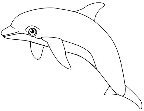 Maybe you would like to learn more about one of these? Paling Keren Sketsa Gambar Lumba Lumba Hitam Putih - Tea ...
