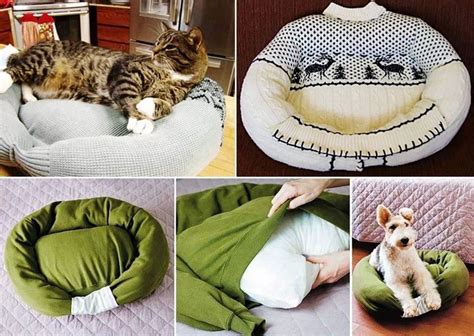 Great Idea For Recycling And Pleasing Your Pet I Love It Here