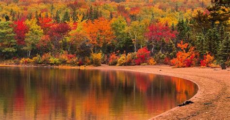 Free Fall Foliage Wallpaper Fall Walk Colors Autumn Splendor