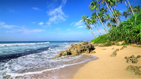 Download 1920x1080 Wallpaper Beach Sea Waves Tropical Beach Palm