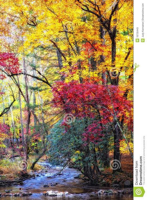 Autumn Stream With Mossy Rocks Stock Image Image Of Orange Colors