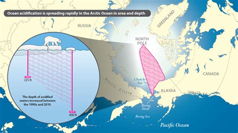 New Research Shows Ocean Acidification Is Spreading Rapidly In The Arctic National Oceanic And
