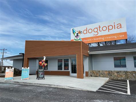 Dogtopia gets creative to navigate pandemic | Warwick Beacon