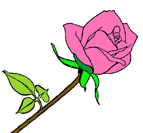 Dibujo De Rosa Pintado Por Leliana En El Día 26 01 11 A Las