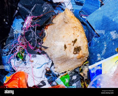 Sweeping Trash Hi Res Stock Photography And Images Alamy