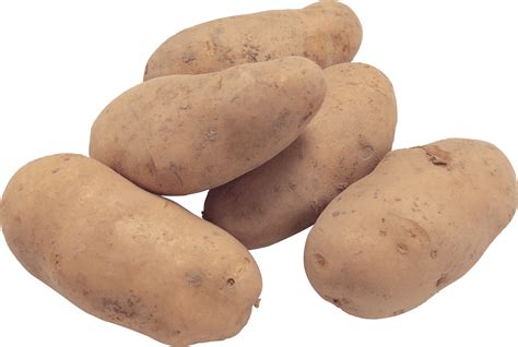 Download Potato Png Images Pictures Download Hq Png Image Freepngimg