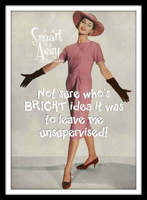 Sassy And Superb Smart Assy Retro Housewife Retro Humor