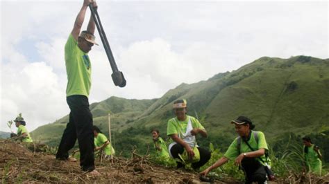 Denr To Hire Group To Audit Govt Reforestation Program