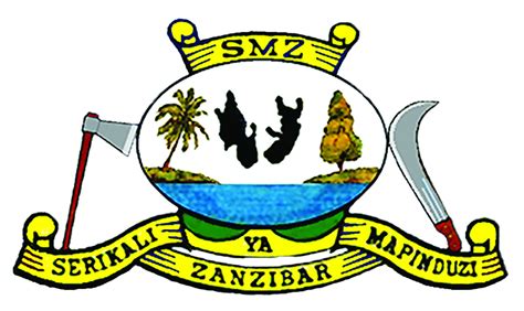 The Zanzibar Ministry Of Health Has Said It Will Collaborate With