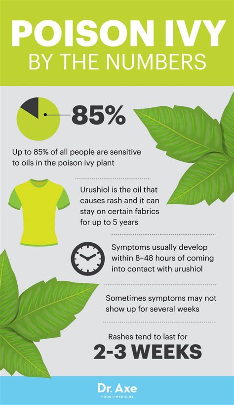 How To Get Rid Of A Poison Ivy Rash Overnight Poison