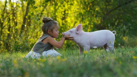 Veganism Is More Than Just a Diet, Says New Definition