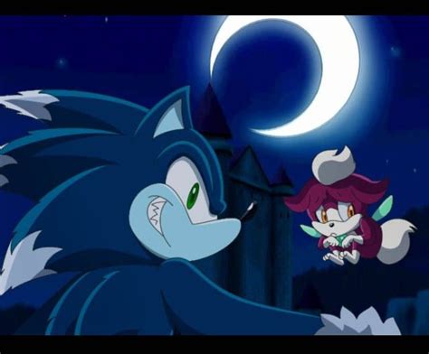 Sonic The Werehog And Chip