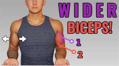 How To Get Wider Biceps Full Biceps Workout