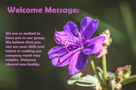 Quotes Welcome To The Team Message Sample Messages And Wishes Welcome