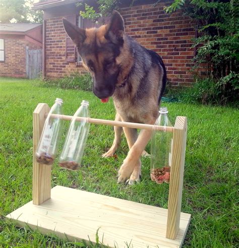 Bark City Doggy Daycare: DIY Enrichment Games For Your Dog