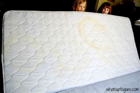 how to easily remove old pee stain and smell from a mattress pee stains mattress cleaning hacks