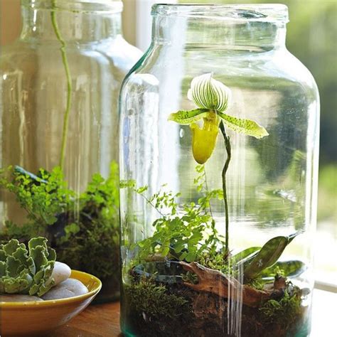 10 Fabulous Indoor Garden Ideas For Your Perfect Home Decor Genmice