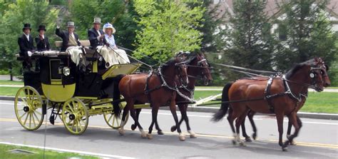 Colonial Carriage And Driving Society For Horse And Carriage Driving