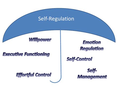 What Is Self Regulation And How Do We Achieve It Art Wagner Lcsw C