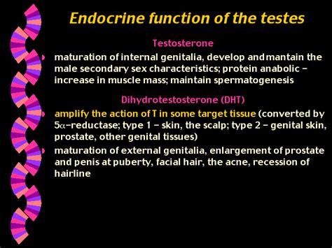 The energy stored to these flywheel are proportional to their square of rotating speed. Endocrine function of the testes